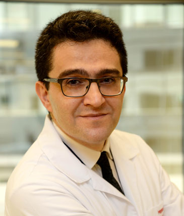 Prof. Dr. Ali Metin ESEN